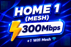 Home 1 (Mesh)