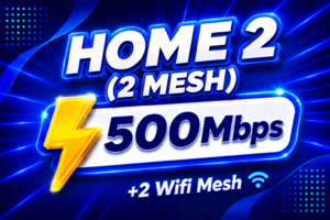 Home 2 (2 Mesh)