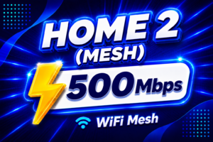 Home 2 (Mesh)