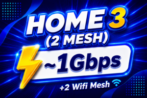 Home 3 (2 Mesh)