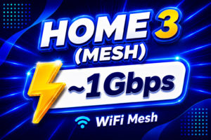 Home 3 (Mesh)