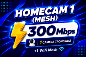 Home Cam 1 (Mesh)