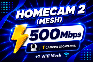 Home Cam 2 (Mesh)