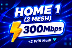 Home 1 (2 Mesh)
